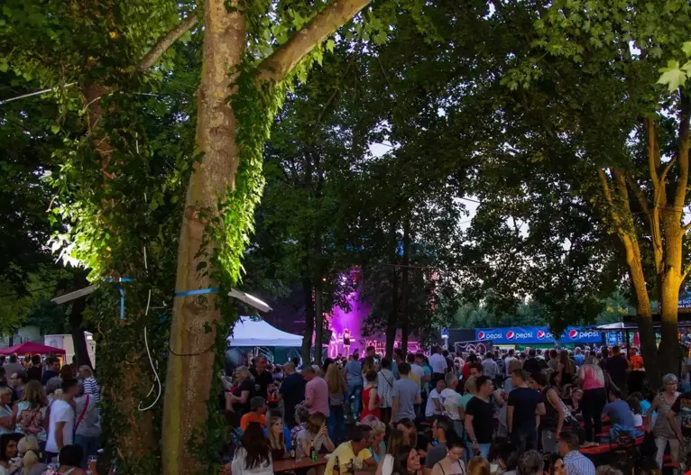 Boeckinger Strassenfest 1 Kleiner